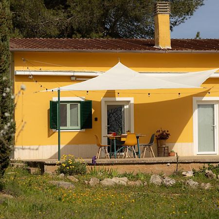 Casina Al Castello - Natura E Relax Castel Del Monte  Eksteriør bilde