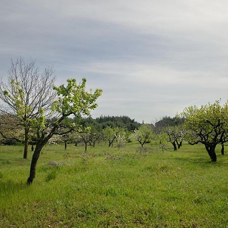 Casina Al Castello - Natura E Relax Castel Del Monte  Eksteriør bilde