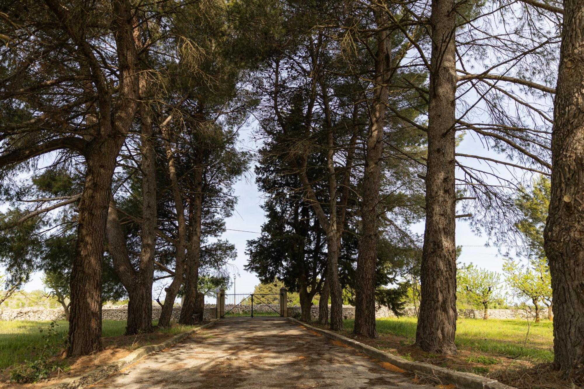 Casina Al Castello - Natura E Relax Castel Del Monte  Eksteriør bilde