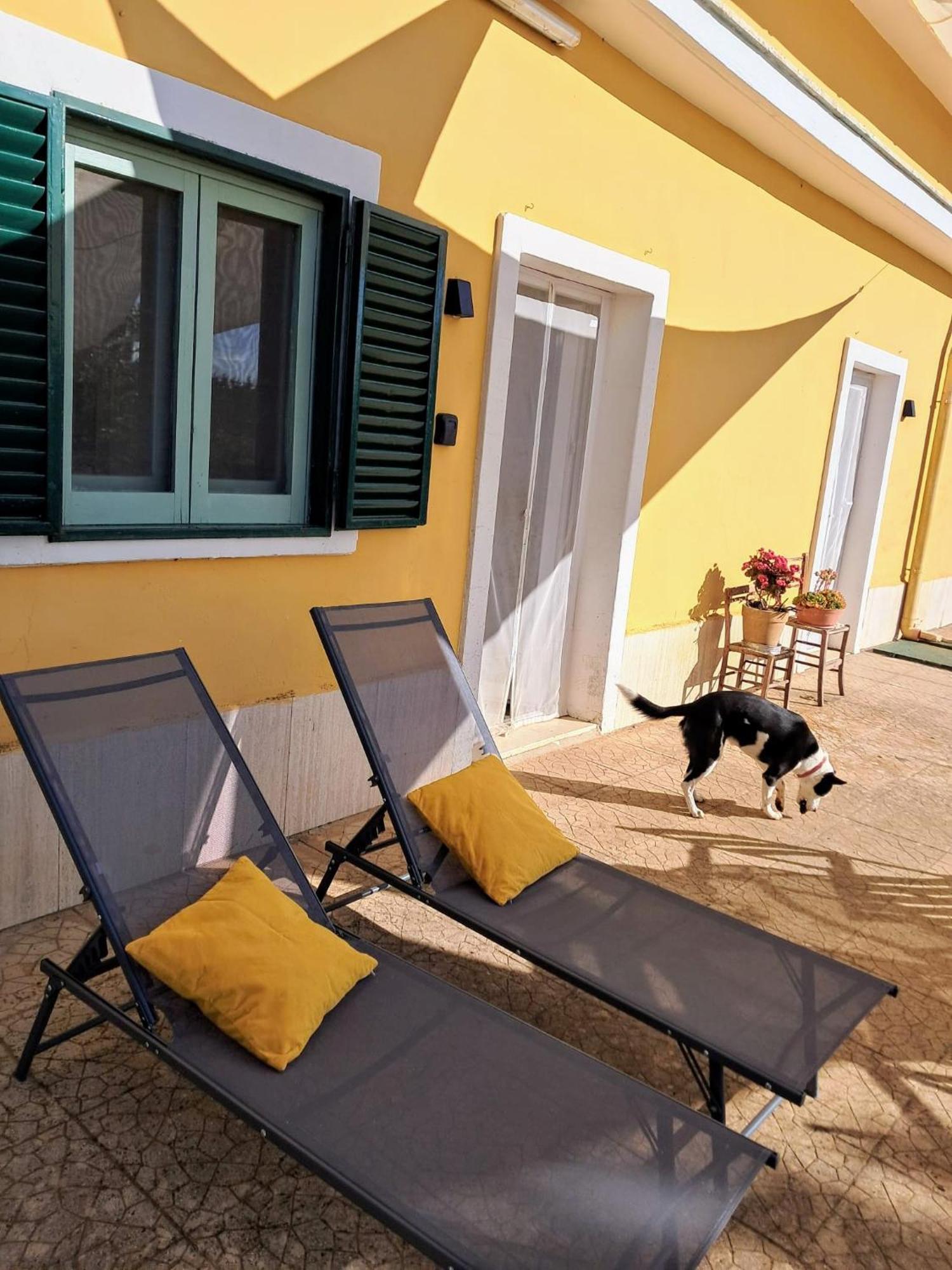Casina Al Castello - Natura E Relax Castel Del Monte  Eksteriør bilde