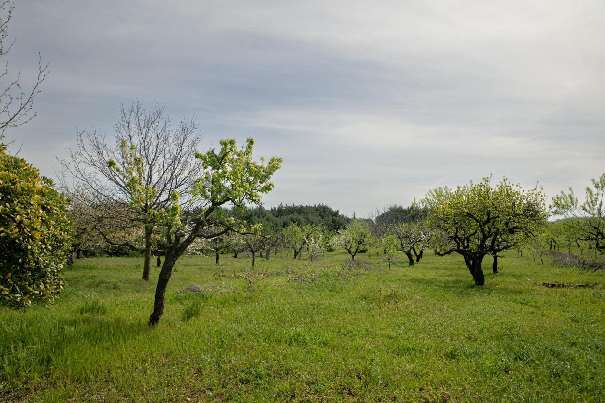 Casina Al Castello - Natura E Relax Castel Del Monte  Eksteriør bilde